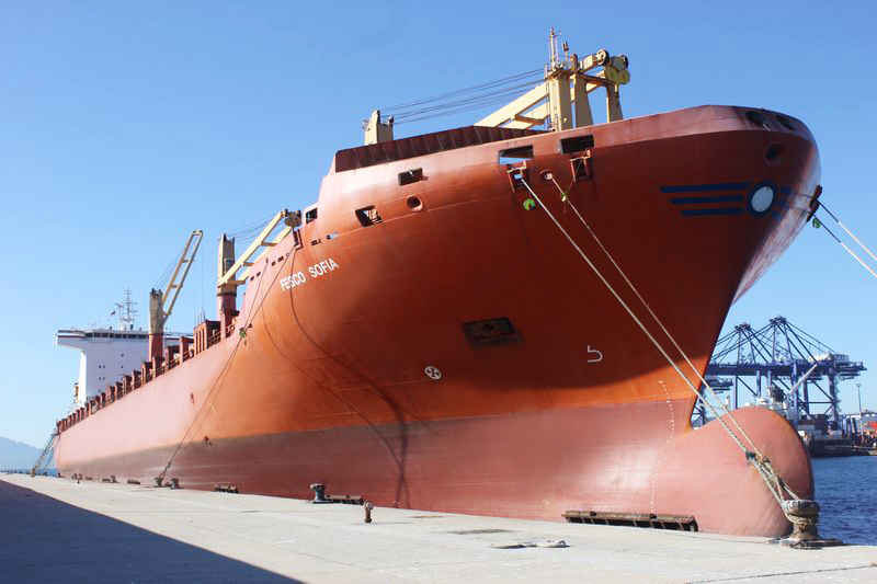 Container ship FESCO Sofia joins the FESCO fleet Container ship FESCO Sofia joins the FESCO fleet